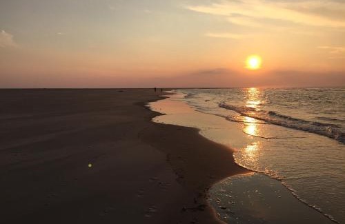 Borkum Apartment | Austernfischer Fewo I