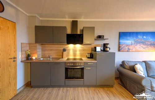 Stiege Apartment | Auszeit-im-Harz Haus 5 Wohnung 36