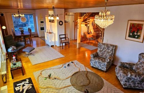 Rovaniemi Villa | Authentic Arctic Villa at the Delta