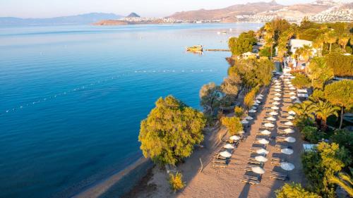 Ortakent Villa | Authentic Bodrum Villa with Special Private Pool
