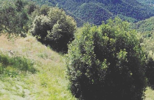 Sumene House | Authentic farmhouse surrounded by nature, south Cévennes