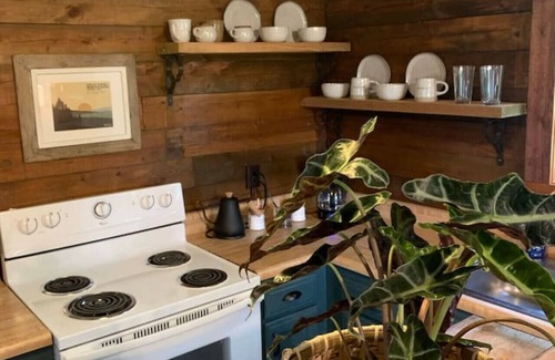 Eureka Springs Cabin | Authentic Log Cabin with Full Kitchen and Fireplace