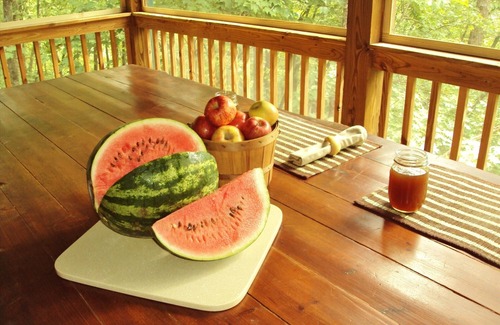 Ellijay Cabin | Authentic Log Cabin - Family, Fishing, Fun - Private Waterfront