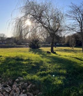 Thenay House | Aux 4 Ailes - 20 min from Beauval Zoo - 4 people