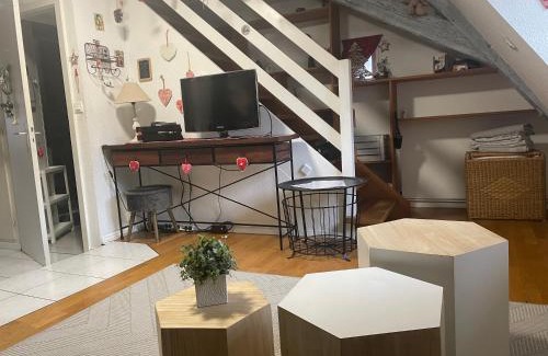 Old Town Apartment | Aux petits cœurs de Colmar PETITE VENISE