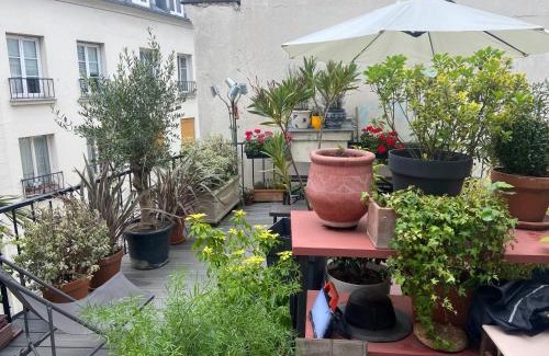 Strasbourg -Saint-Denis Apartment | Aux Terrasses de la Lune