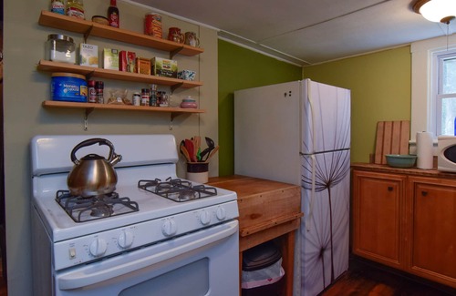 Asheville Cabin | AVAILABLE NOW Sweet Cabin 10 min to Ashvl., Quiet, BEES , Garden & DECK. Dogs Ok