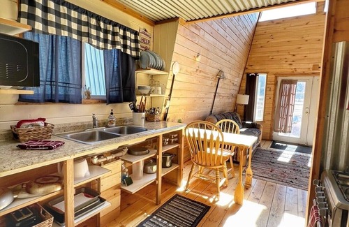 Creede Cabin | Avalanche Lily - Cabin 4 - 2 bedrooms in Creede, Colorado