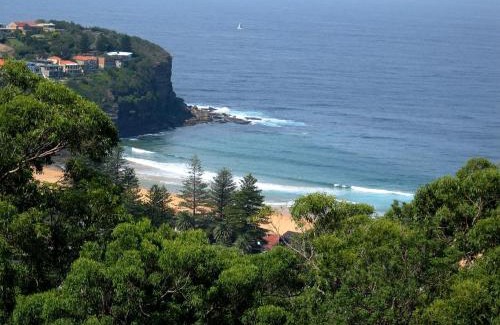 Bilgola Plateau Apartment | Avalon Horizons