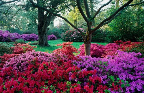 New Forest District Bed & Breakfast | Avalon House B&B