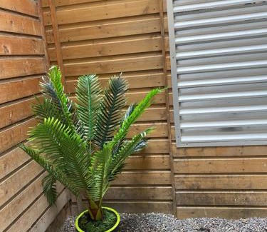 Dieppe Apartment | Avec JARDINET sans vis à vis Plein centre ville au RDC 350m de la plage