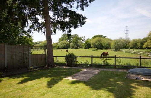 New Forest District House | Avondale New Forest