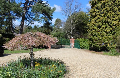 Ringwood Bed & Breakfast | Avonhurst