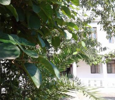 Makhinjauri House | Avto House