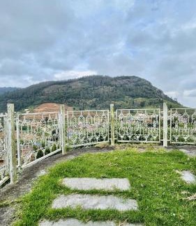 Ooty House | Away From Home - 4 - Rooms In Ooty, Home Stay Ooty