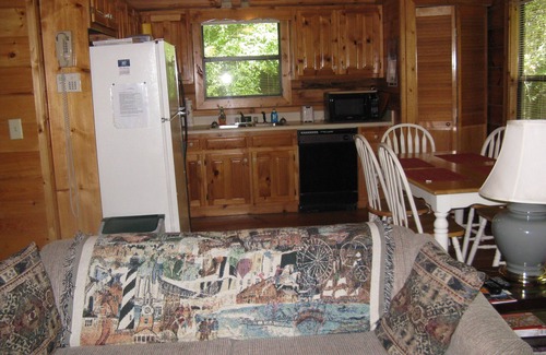 Ellijay Cabin | Away from the Crowds Great Value Right on the River!