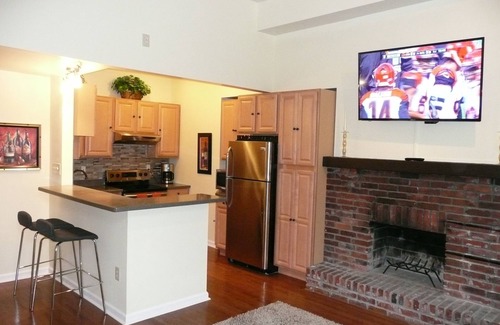 Allegheny-West Condo | Awesome Allegheny West Condo-Walk To Acrisure Stadium, PNC Park, Rivers Casino