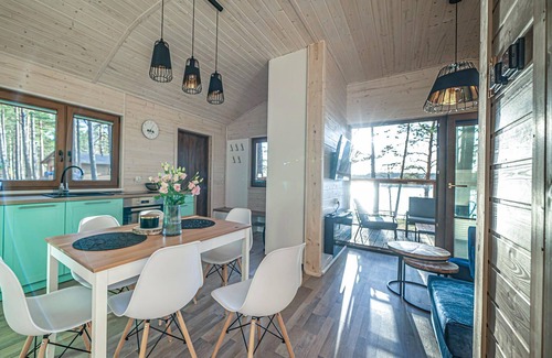 Wdzydze Tucholskiez House | Awesome home in Borsk with WiFi