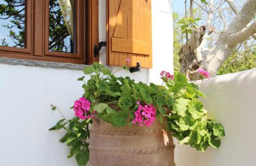 Falatados Apartment | Axahas