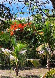 Ayampe House | Ayampe Kachalotes, Beach house, The best view