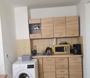 Oradea House | Ayana Central House