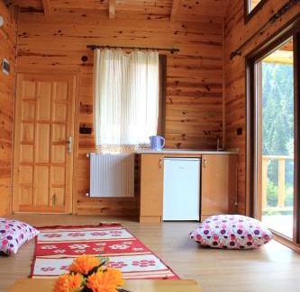 Ayder Ski Chalet | Ayder Cise Dag Evleri