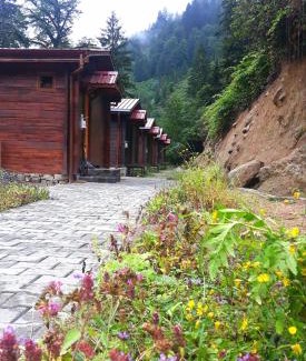 Ayder Ski Chalet | Ayder Cise Dag Evleri