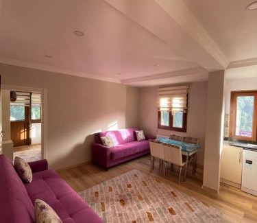 Ayder Yaylasi Apartment | AYDER Köroğlu Apart