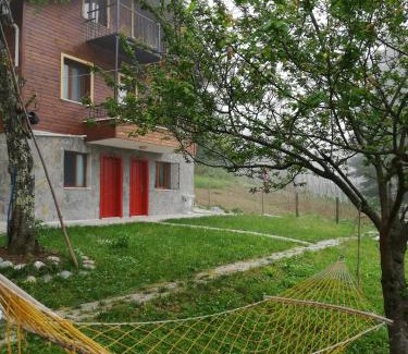 Ayder Yaylasi Apartment | Ayder Palas Apart Hotel