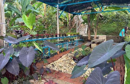 Kampung Lubuk Kelubi House | Ayra House Hulu Langat