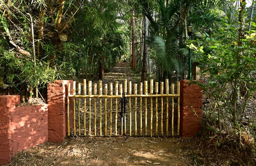 Kidanganad Resort | Ayurguru ayurvedic kalari Resort