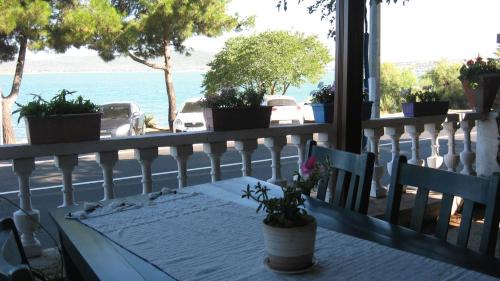 Ayvalik City Center House | Ayvalik Dostlar Pansiyon