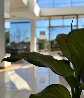 Obera Hotel | Azul Hotel & Spa