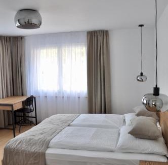 Central Interlaken Apartment | Azure Apartment
