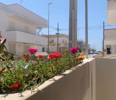 Torre Mozza Apartment | Azzurro Mare Aparthotel