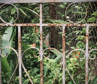 Chau Thanh House | Bến Tre Homestay