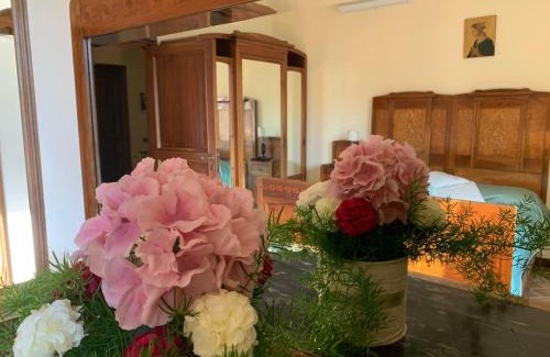 Serra San Quirico Bed & Breakfast | B&B ABBAZIA Sant'ELENA