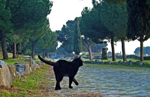 Capannelle Bed & Breakfast | B&B Appia Felis
