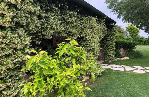 Nanto Bed & Breakfast | B&B BAGOLARI