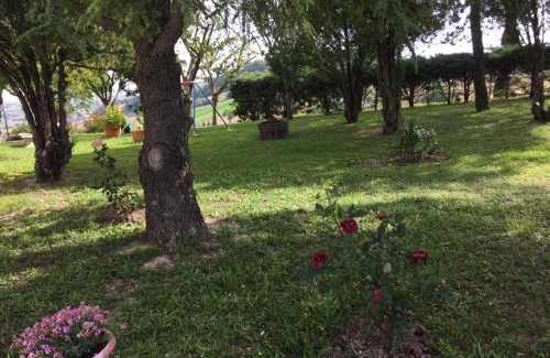 San Pietro Apartment | B&B da Eli