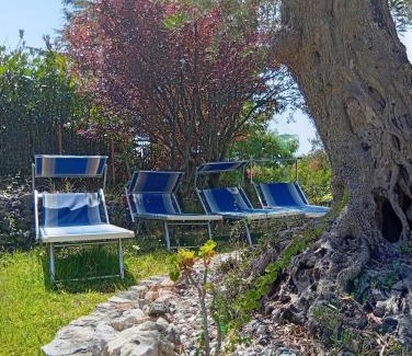 Maratea Bed & Breakfast | B&B da Maria Teresa - Maratea