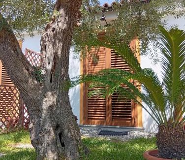 Maratea Bed & Breakfast | B&B da Maria Teresa - Maratea