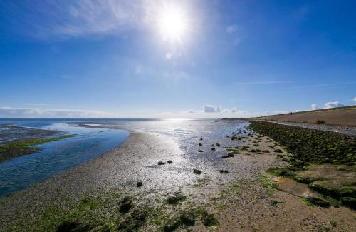 Oosterend Bed & Breakfast | B&B De Oude Skuur Texel