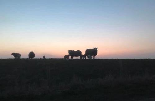 Oosterend Bed & Breakfast | B&B De Oude Skuur Texel