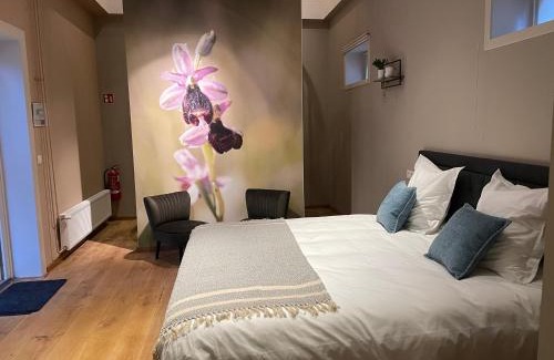 Kessenich Bed & Breakfast | B&B Het Doctershoes