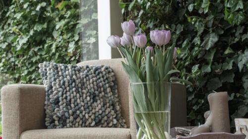 Schagen Bed & Breakfast | B&B Jardin - Schagen
