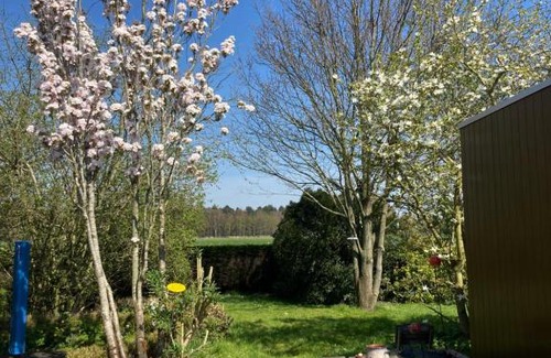 Zedelgem Bed & Breakfast | B&B Koornemoezen