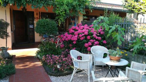 Grignano Bed & Breakfast | B&B L'Isola di Casa
