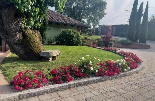 Monale Bed & Breakfast | B&B La Bianchina