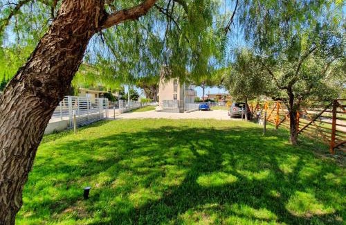 Paestum Bed & Breakfast | B&B La Melagrana